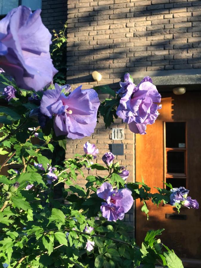 آيندهوفن Eikenburg B&B المظهر الخارجي الصورة